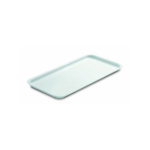 PIATTO ESPOSITORE 44,5X33,5