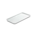 PIATTO ESPOSITORE 72X29