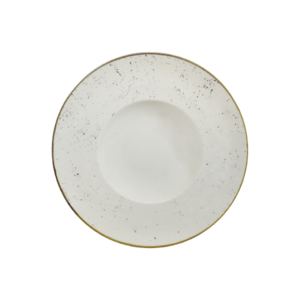 STAINS K.BOWL CM.27 Z42