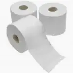 IGIENICA EXPERT 10 ROTOLI 2 VELI