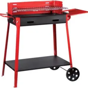 BARBECUE 40X60 CON RUOTE +APP
