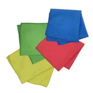 REGINA PANNO MICRO FIBRA 33x33